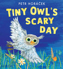 Image for "Tiny Owl's Scary Day"