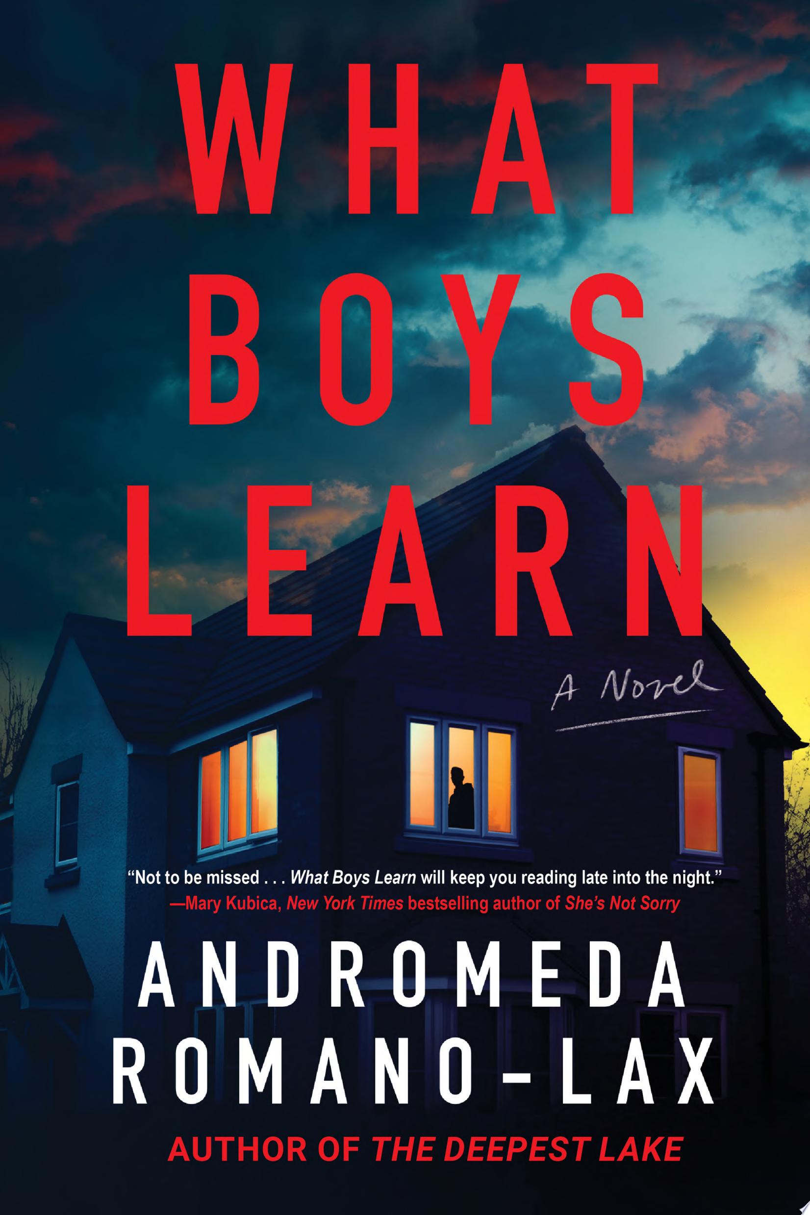 Image for "What Boys Learn" by Andromeda Romano-Lax