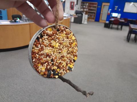 Jar Ring Suet Bird Feeders