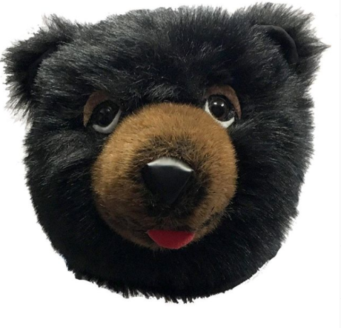 Brary Bear's Face