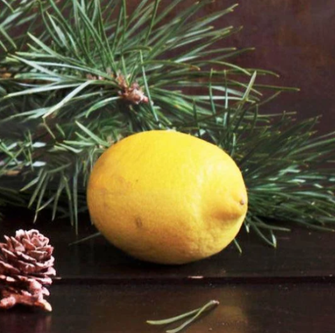 a lemon and some pine sprigs and a pinecone