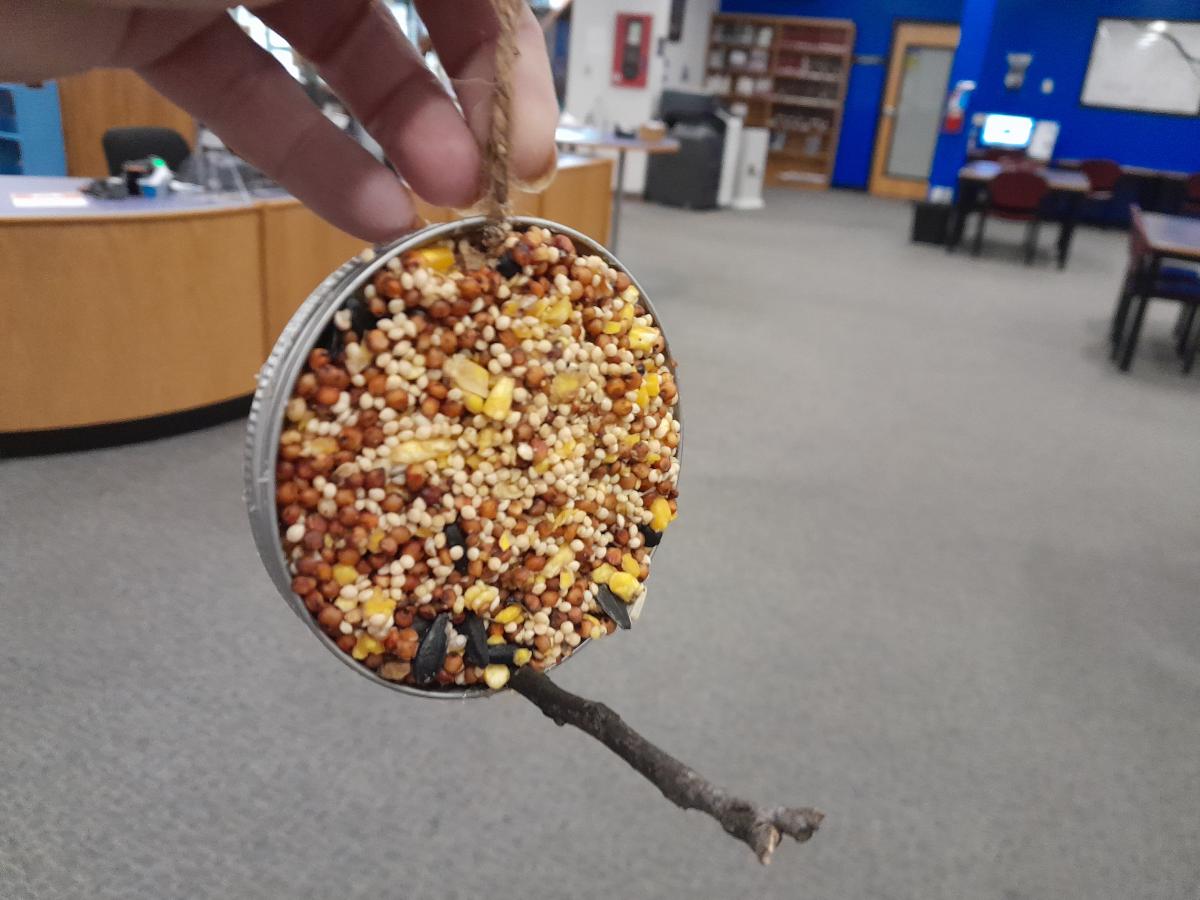 Jar Ring Suet Bird Feeders