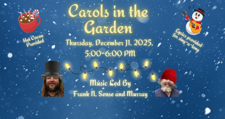 Carols in the Garden on Thursday December 11 at 5pm