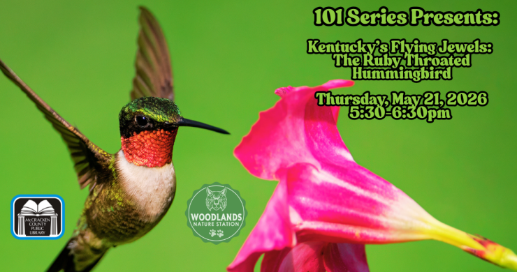 image of Hummingbird click for more info